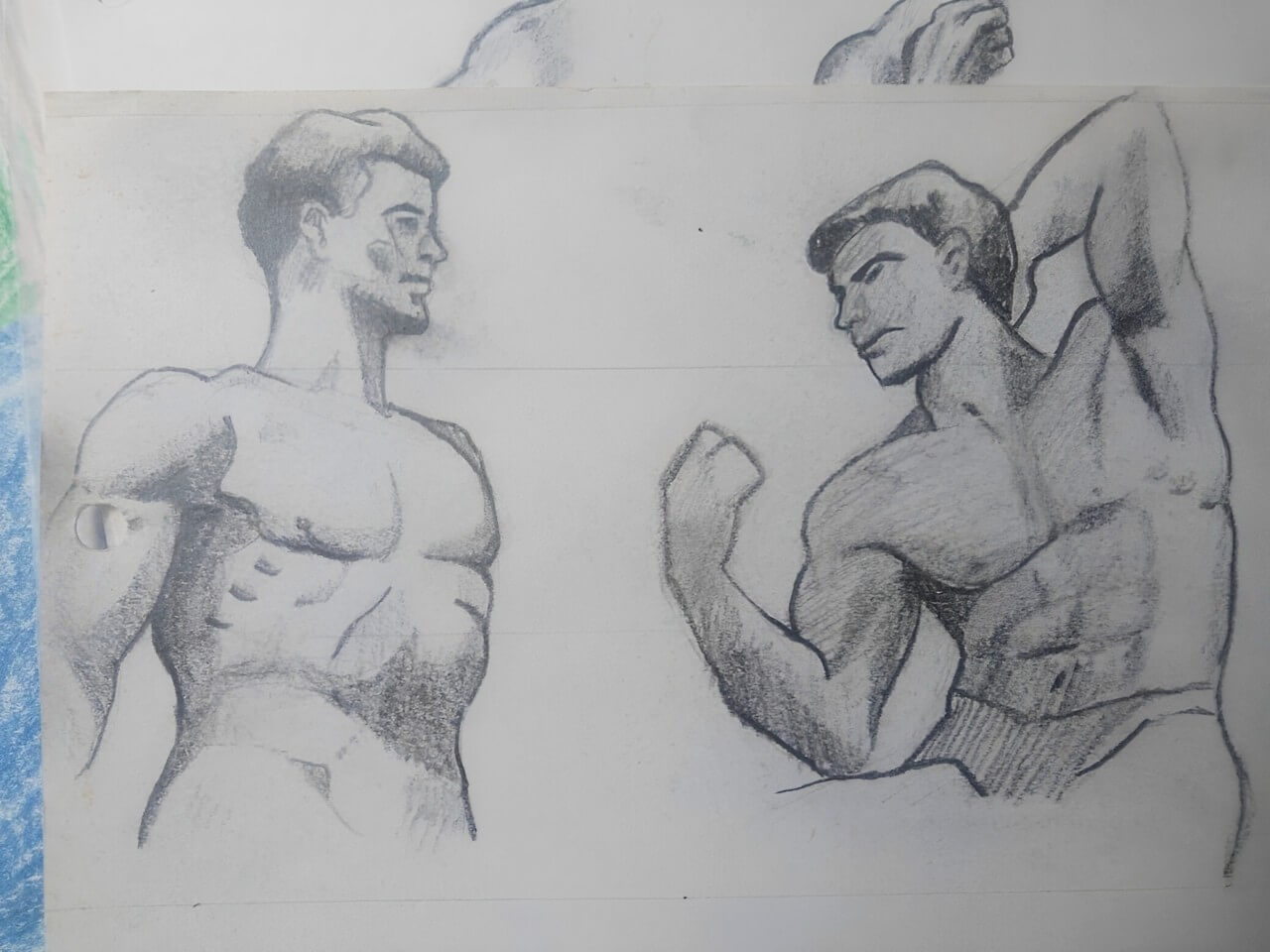 Muscles
